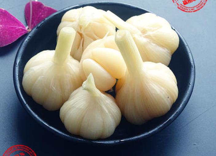 三江蒜头酸料-广西蒜头酸料批发_蒜头酸料技术培训
