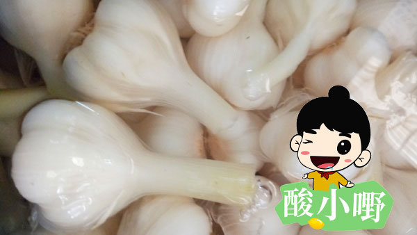 河南酸大蒜头怎么做_酸大蒜怎么泡？