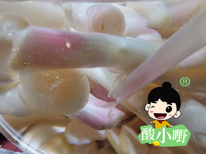 河南酸姜芽腌制_腌酸姜芽批发_酸姜芽多少钱一斤