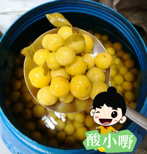 青海怎么卖酸料_在青海小县城开酸料店卖腌水果酸料怎么样？